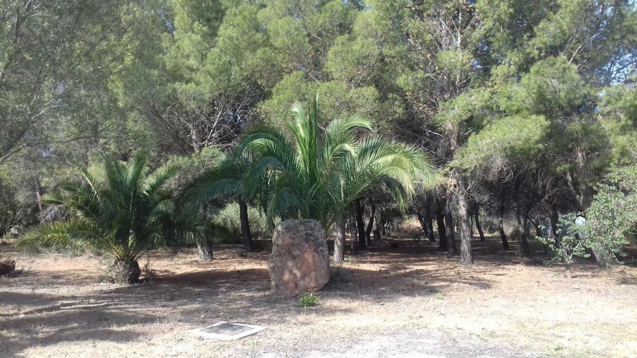 Chia Zeffiro Villa Dış mekan fotoğraf