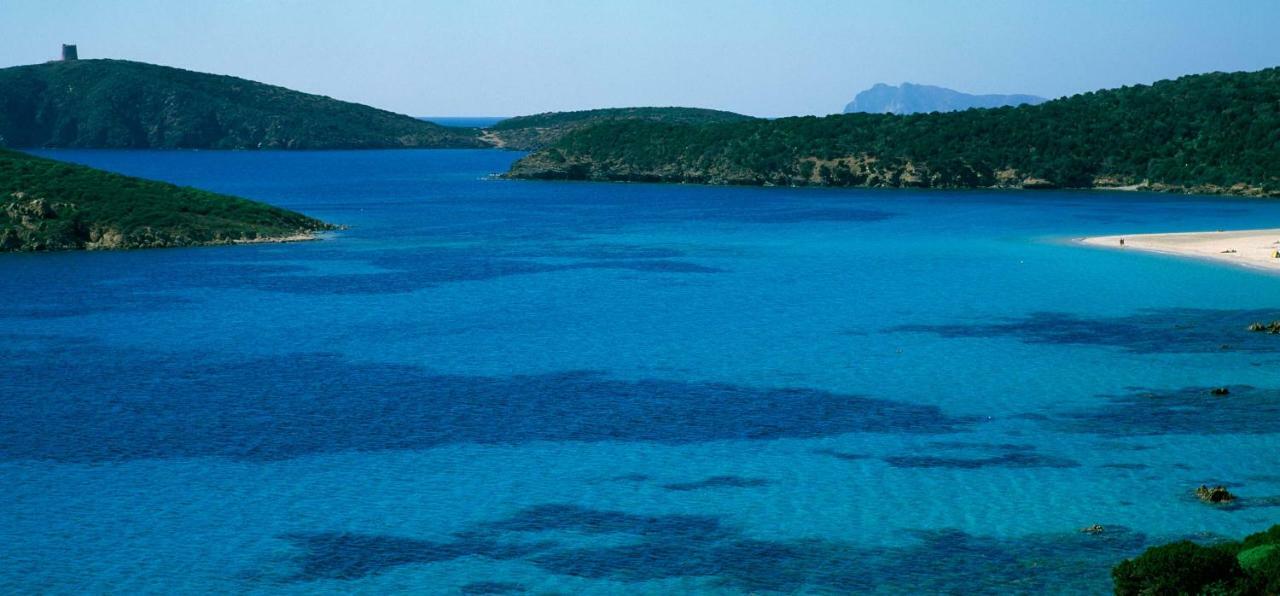 Chia Zeffiro Villa Dış mekan fotoğraf